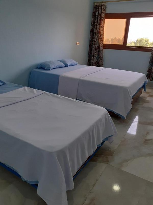 Nile Youth Hotel Λούξορ Εξωτερικό φωτογραφία